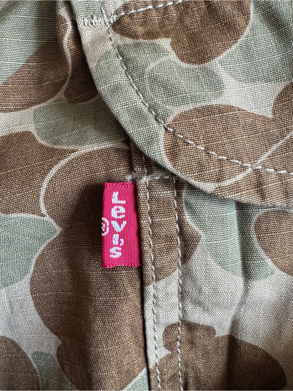 Levis levi cargo